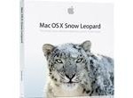 snow_leopard