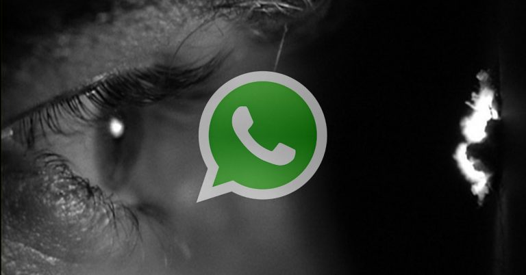 WhatsApp activa poderosa función que evita que nadie te espie